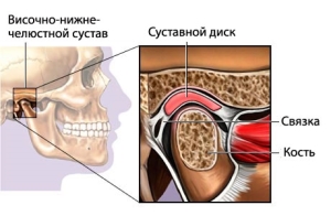 Temporomandibular joint