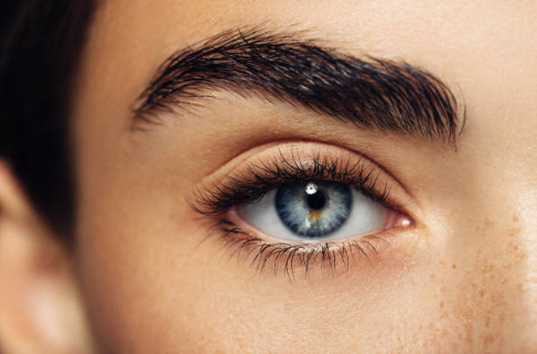 
      : Screenshot_2018-07-06 Eyebrow Model Stock Photos and Pictures Getty Images.png
: 1581

: 368.5 
    