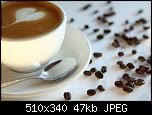 
          
: 1308256709_coffe.jpg
: 521
: 47.3 
ID: 5841
    