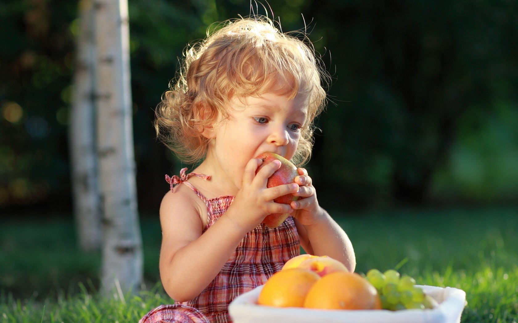 
      : portrait-children-eating-emotion-Person-skin-autumn-child-flower-girl-beauty-woman-portrait-phot.jpg
: 37

: 316.0 
    