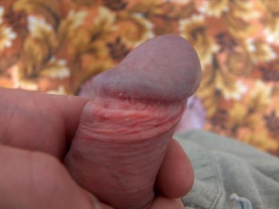 photo2.jpg