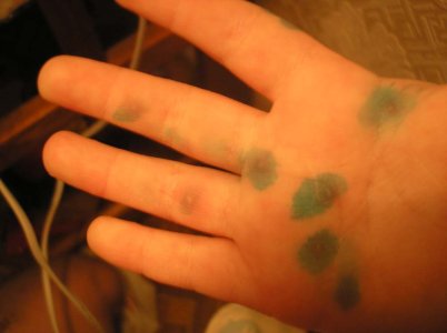 palm.jpg
