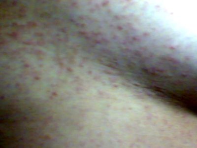 Image(073).jpg