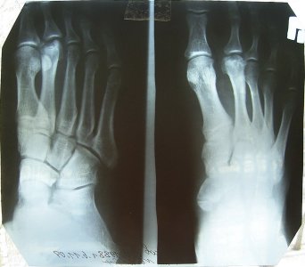 foto1.jpg