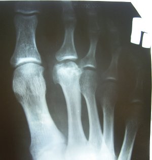 foto2.jpg