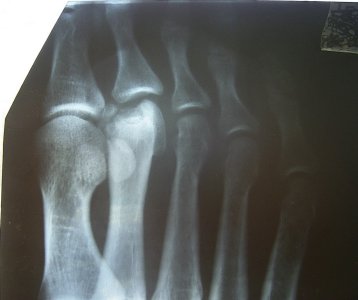foto3.jpg