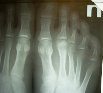 foto4.jpg