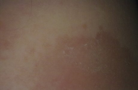 24072010008.jpg