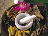 ayurveda_indias.jpg