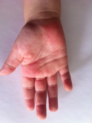 img0019cq.jpg