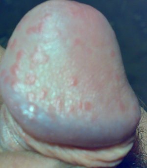 121020121004.jpg