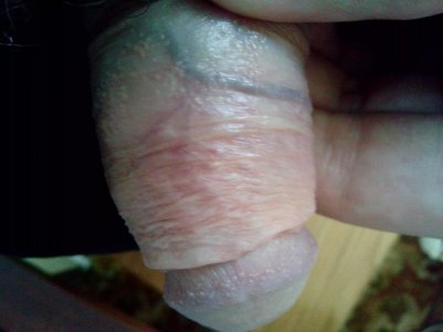 IMG_20130718_112048.jpg