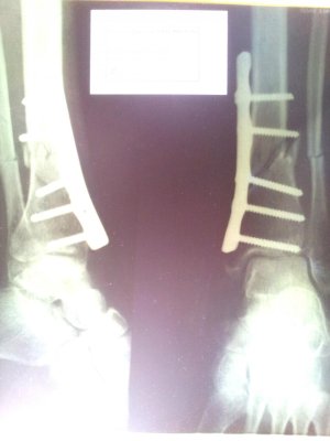 20130805_122542.jpg