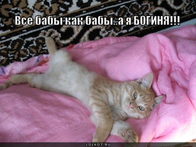 vse-baby-kak-baby_1301029887.jpg