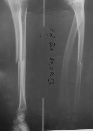 30.12.2013.jpg 30.12.2013.jpg