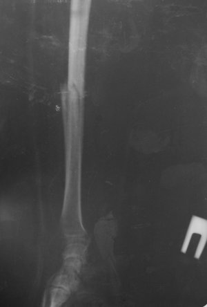 08.01.2014-2.jpg 08.01.2014-2.jpg