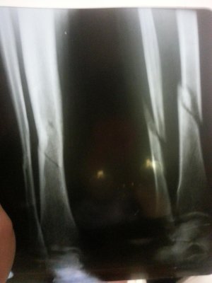 20140429_212143.jpg