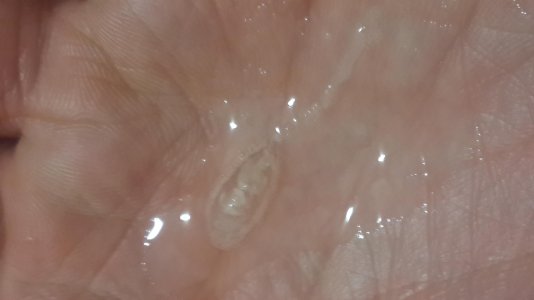 20150228_195335.jpg