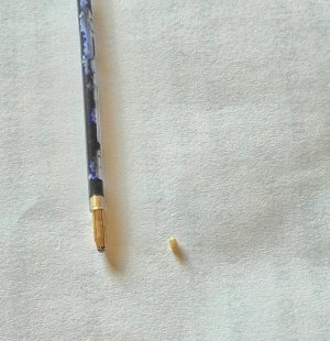 P_20160308_111825_HDR.jpg