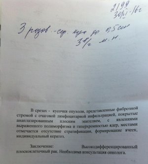 гистология.jpg
