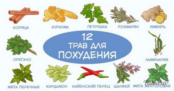 fullsize.jpg