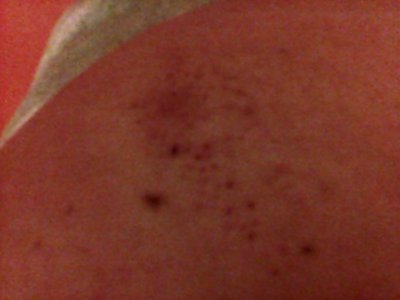 IMG0011A.jpg