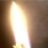 nedug56846