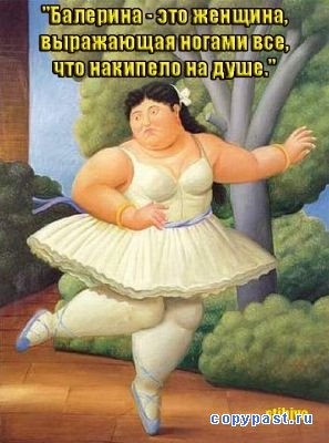 6381.jpg